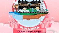 PLN