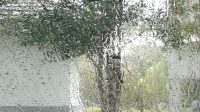 Petrichor