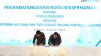 PLN