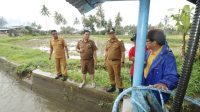Payakumbuh