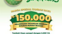 PLN