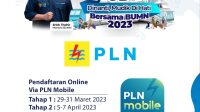 PLN