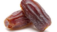 fakta unik kurma