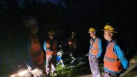 PLN