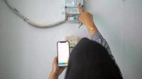PLN