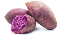 Contoh Umbi-Umbian