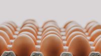 tips menyimpan telur