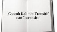 contoh kalimat transitif dan intransitif
