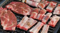 Memilih dan Menyimpan Daging Slice