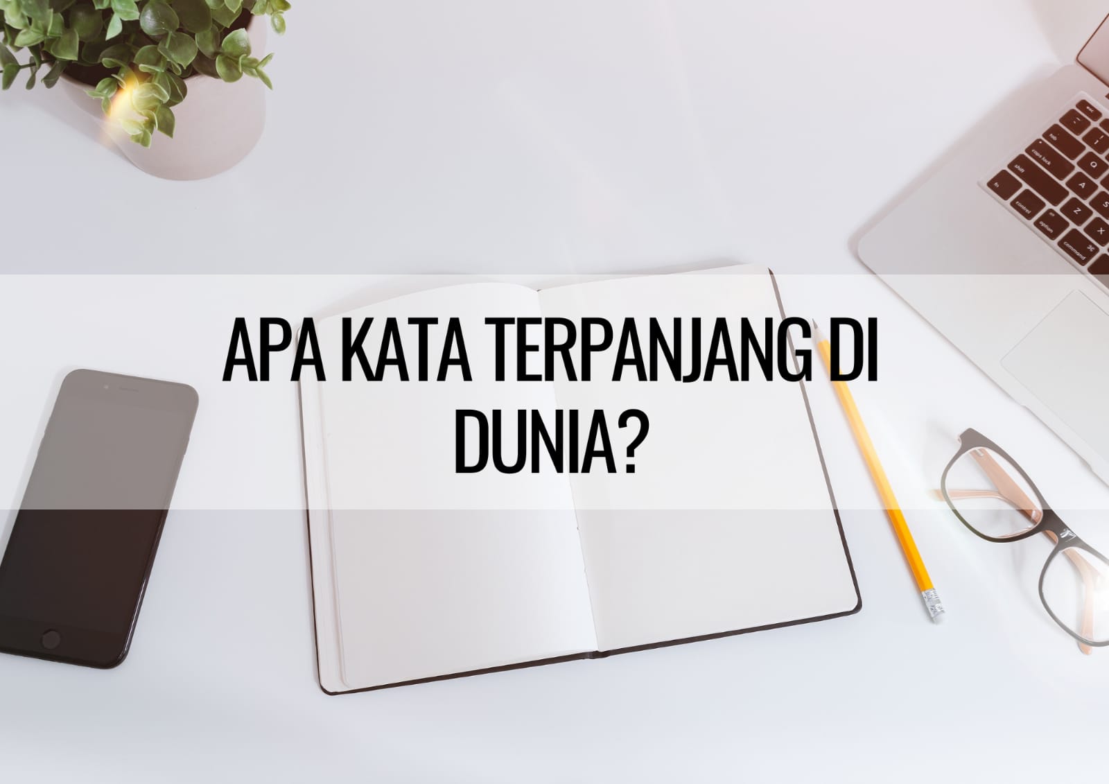 Kata Terpanjang di Dunia