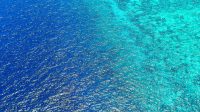 Air Laut Berwarna Biru
