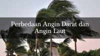 Penjelasan Perbedaan Angin