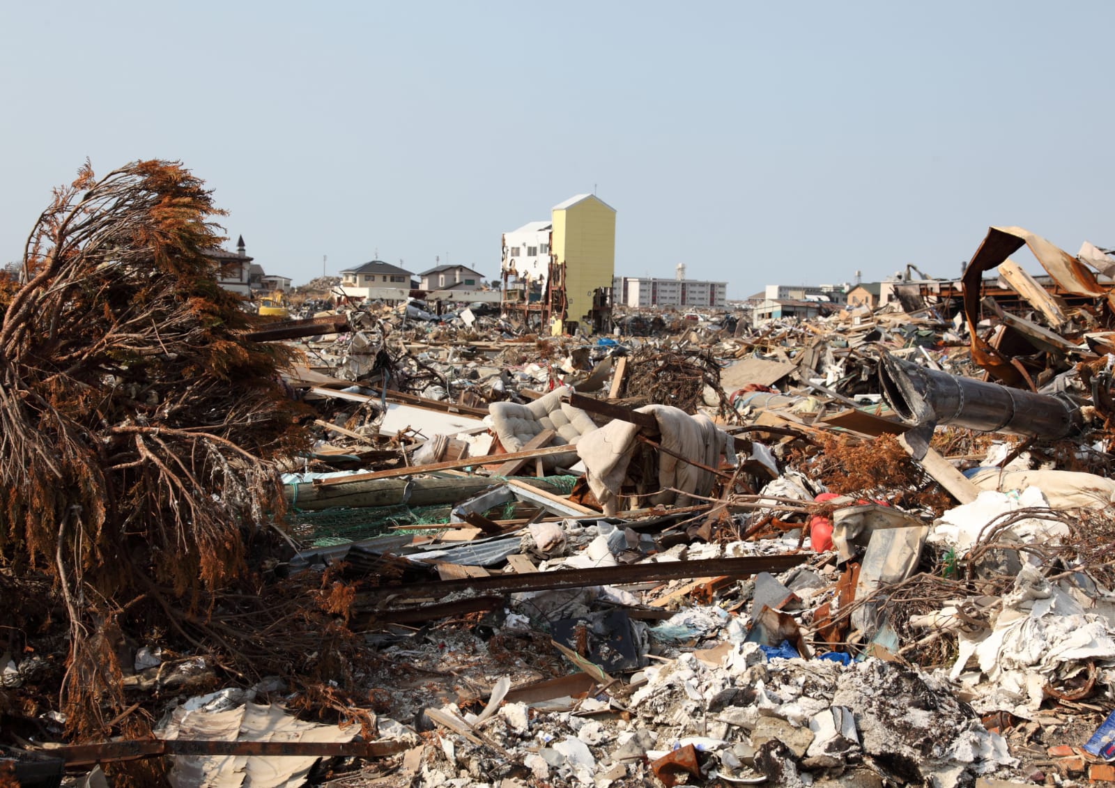 WhatsApp Image 2023-06-17 at 13.26.06l Tsunami Terbesar di Dunia