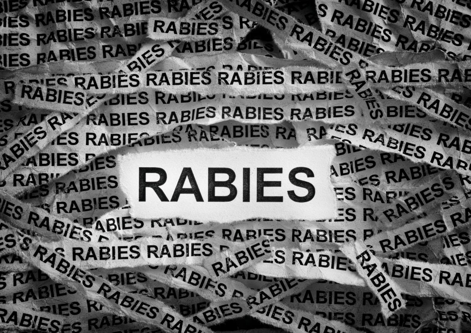 Penderita Rabies Takut Air
