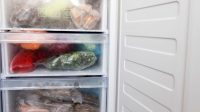 Menyimpan Makanan di Freezer