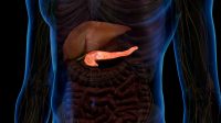 Pengertian Organ Pankreas