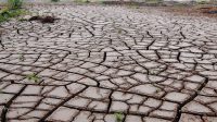Penjelasan mengenai El Nino