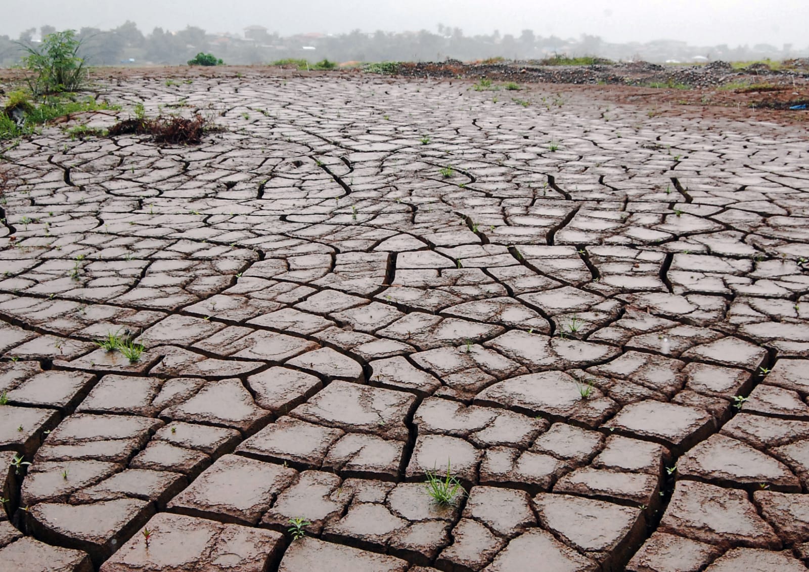 Penjelasan mengenai El Nino