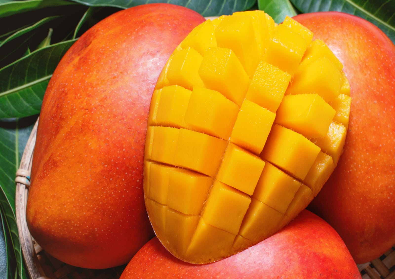 Penjelasan mengenai kalori mangga