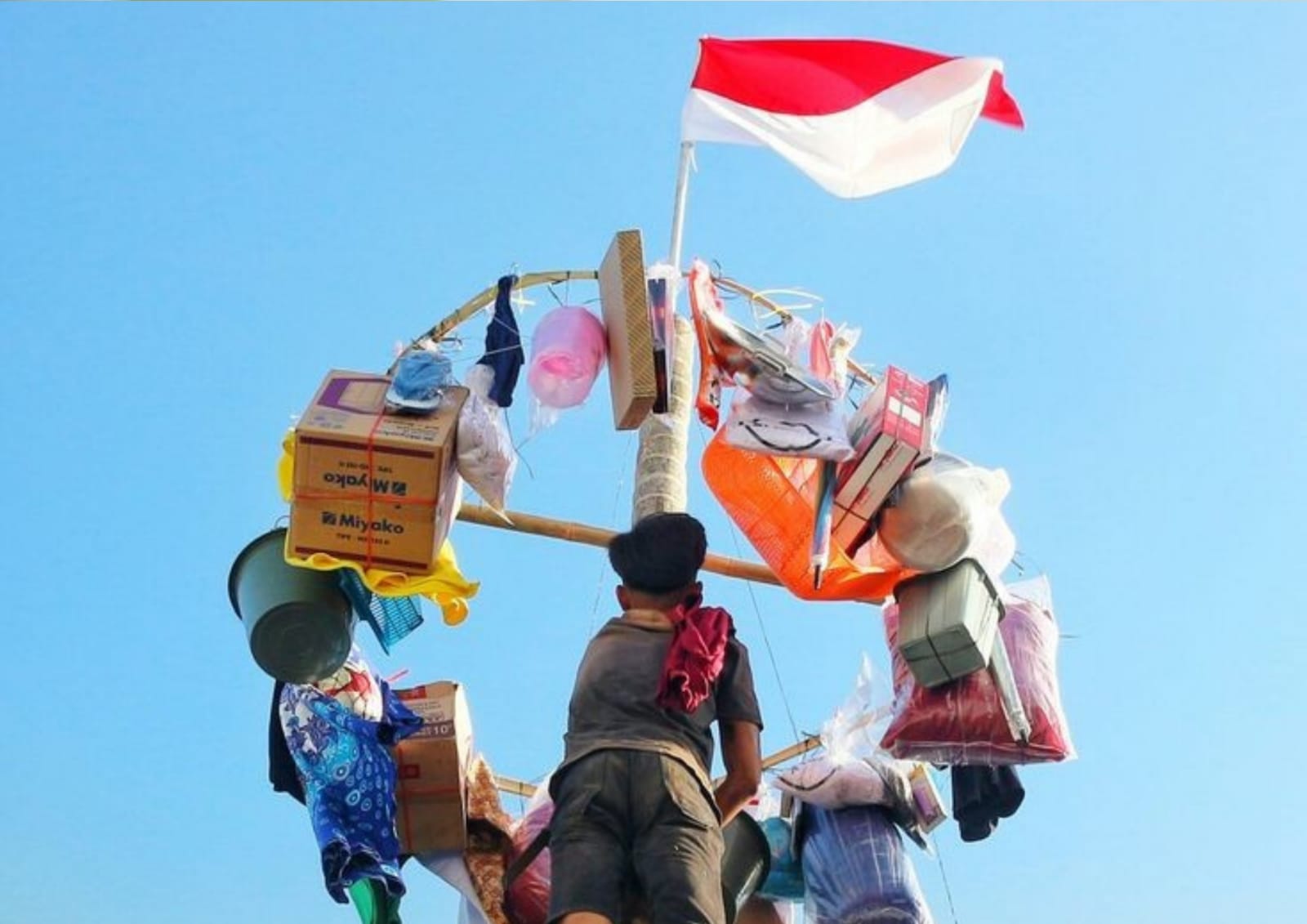 Menang Lomba Panjat Pinang