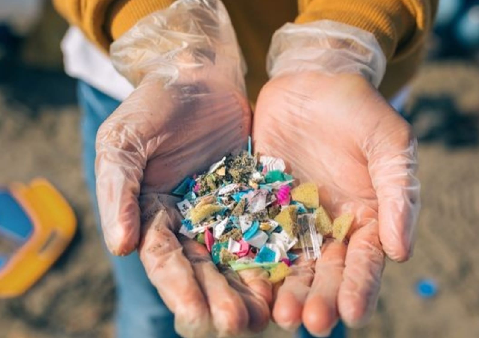 Dampak mikroplastik bagi lingkungan