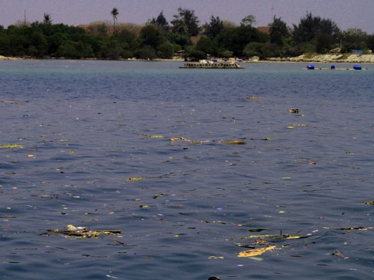 Penjelasan mengurangi penggunaan plastik