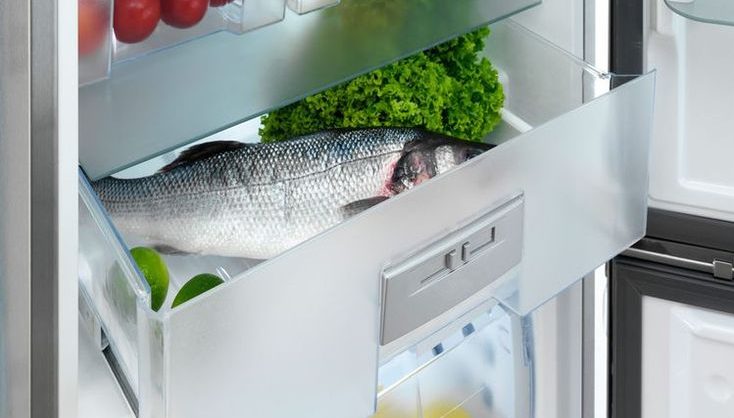 Waktu ideal menyimpan ikan