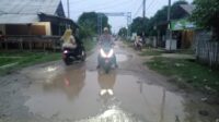 IMG-20241210-WA0001
