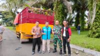 IMG-20260507-WA0011