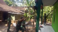 WhatsApp Image 2026-08-08 at 22.05.03